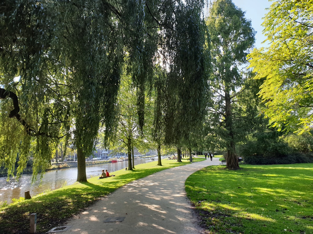 Finding Home: Assisted Living Options in Ypsilanti